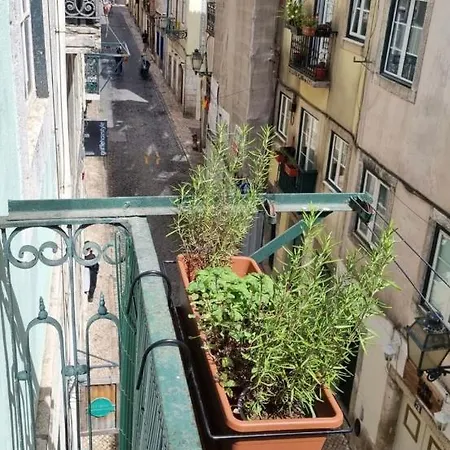 The In Bairro Alto, Center Of Habitación en casa particular